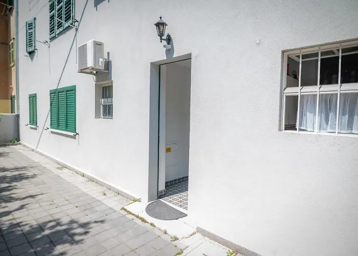 Carduelis 아파트 *